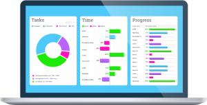 The skill of Project Management Software